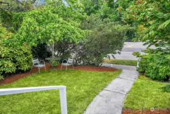 Mature landscape provides privacy for the front yard.