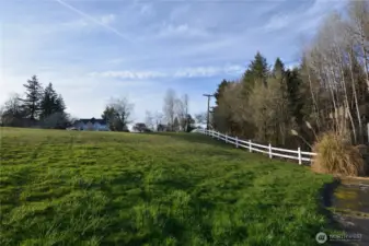 Fenced Acreage/ Pasture