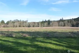 Pasture / Acreage