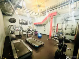 Gymnasium