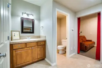Bathroom on the lower level.
