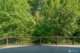 The freshly painted deck offers this exquisite & private backdrop.