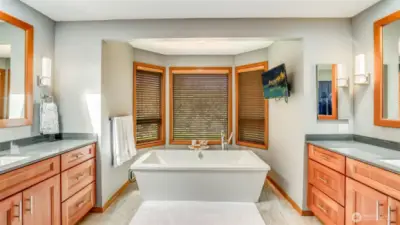 Elegant, spa-inspired retreat featuring heated floors, dual vanities, and a spacious walk-in closet.”    “Luxurious soaking tub with heated back and air jets—perfectly positioned to take in serene backyard views.”    “Beautifully remodeled primary bath with separate vanities, quality finishes, and timeless elegance.”    “Your private oasis—heated flooring, stand-alone soaking tub, and a peaceful garden outlook.”    “A true spa experience at home with thoughtful design, high-end details, and everyday convenience.