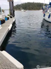 Installed bumpers on the dock that stay.