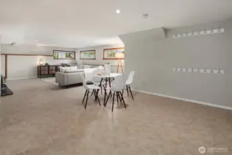 downstairs family room