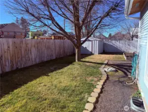 dog run area to the side of home