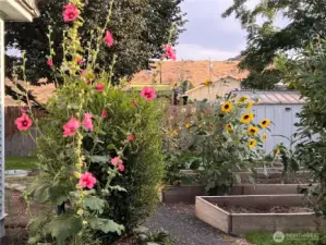 Some of the blooming flowers! Just Beautiful!