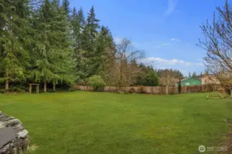 Expansive backyard with a wide open lawn bordered by mature trees and fencing, providing a private outdoor setting with room for recreation and gardening.