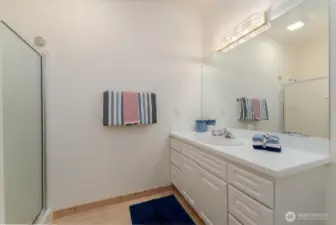 Guest Bath Main level