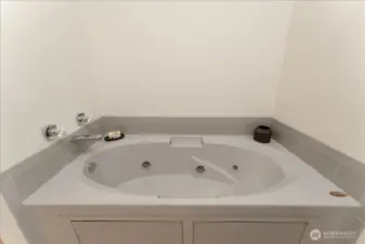 Spa Tub