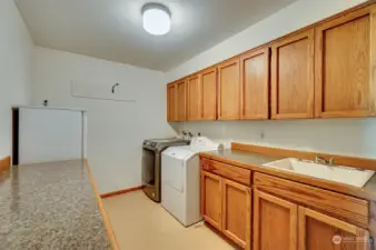 Large lower level laundry/utility room