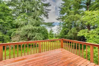 Deck overlooks acreage