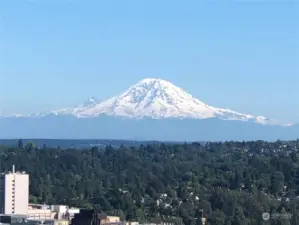 View of Mt. Rainier from balcony