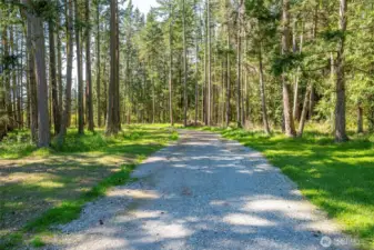 Beautiful private driveway leading to lot A