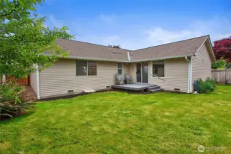 Back Yard and Deck