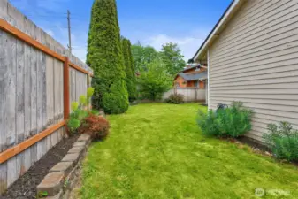 Side Yard