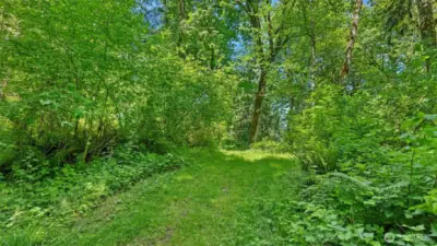 Another beautiful opening in the woods.