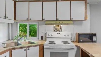 Nothing but greenery out the kitchen window.