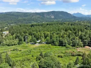 There is a trail at the bottom of this photo that leads from the garden space at the top of the easement down into the woods and loops around the home in the old growth trees beyond.