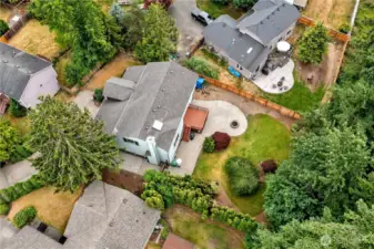 Adult foliage offers even more privacy from the homes around you.