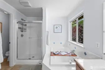 Garden tub with window