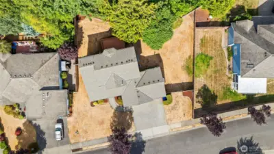 Great corner lot!