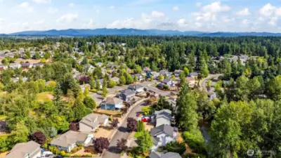 Amazing location close to sounder, freeways, hospitals, shopping and both downtown Sumner and Puyallup