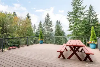 And to think that there's even MORE underneath this Deck!  (Hint: a LARGE PATIO that is once again off a set of french doors that has endless opportunities!)