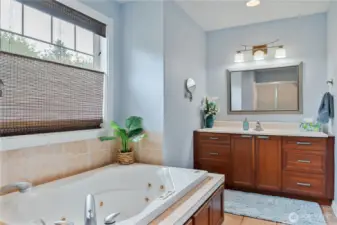 Plenty of room in the Primary Bathroom, with jetted tub, another picture-perfect window, and Shower behind the camera