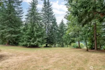 At this home, you just can't spend all your time indoors - or you'd miss the Pacific NW beauty that awaits you down this side and all thru the backyard!
