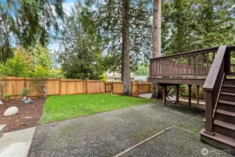 Freshly Laid Sod Lawn