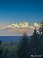 majestic Olympic Mountain Views
