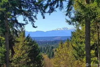 Mountain view framed by beautiful trees