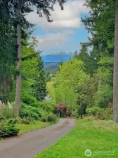 Private driveway with a gate
