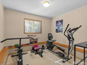 3rd Bedroom/Flex Room