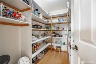 Huge Walk-in Pantry!