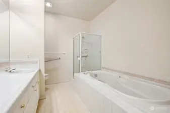 Primary bathroom with walk-in shower and soaking tub.