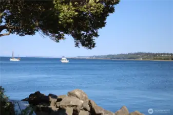 The view is always changing with boats and wildlife everywhere