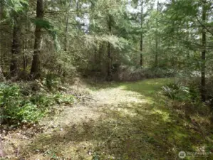 Walking path thru part of the 5 acres.