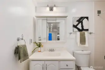 Basement Bathroom