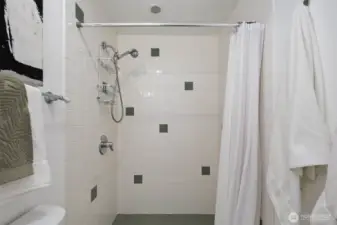 Basement Bathroom