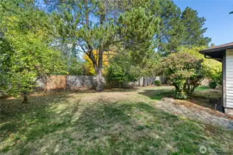 Another view of backyard