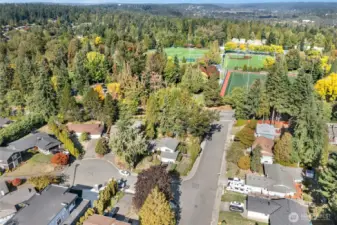 Another Overview