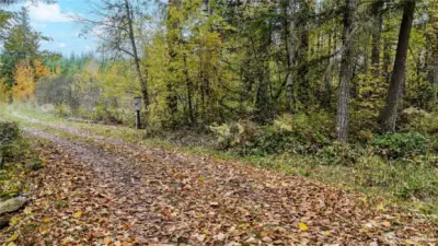 With power on site, start your project right away!