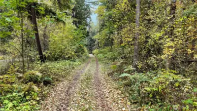 With the abundance of space, what would you do first?