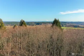 Fantastic Panoramic Mountain Views