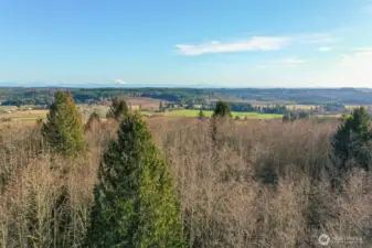 Wake up to this every morning!