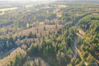 Easy access from Hewitt Road. Driveway was once graveled, but has since grown over.