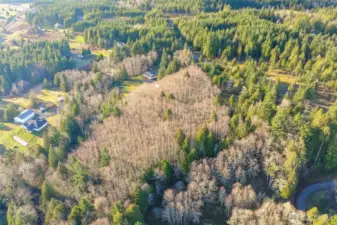 Once Property is cleared, it opens up views of Mount St. Helens, Rainier, and Adams