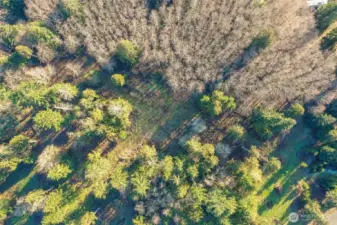 6.46 Acres - 3 Parcels #016903002001,016903002002, 016903002003